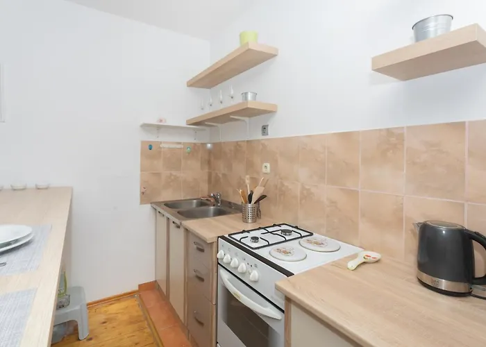 Downtown Danica שיבניק